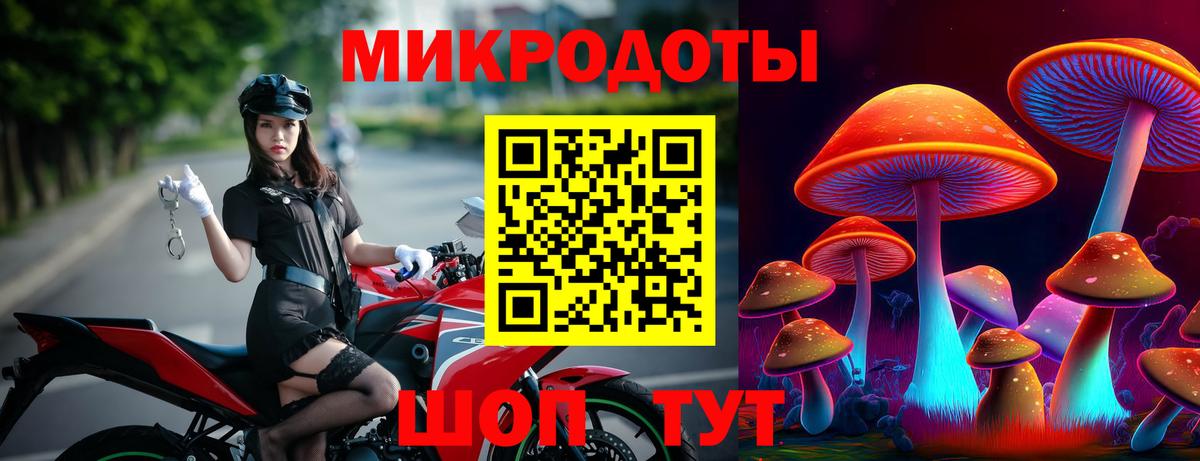Псилоцибиновые грибы мухоморы Знаменск