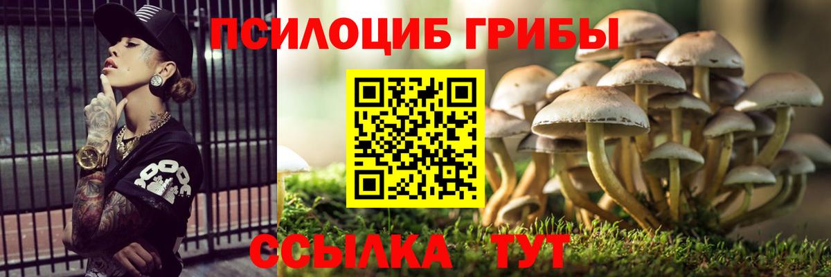 Псилоцибиновые грибы Psilocybe  Вход с VPN  Знаменск  Галлюциногенные грибы Cubensis 